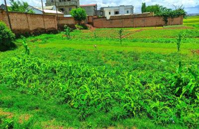 Terrain a vendre - Hopitaly itaosy