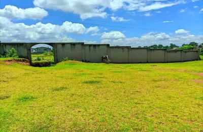 Terrain a vendre Ambomarina itaosy